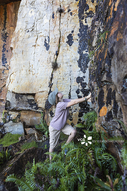 在自然保护区徒步旅行的男孩（8-9岁）图片素材
