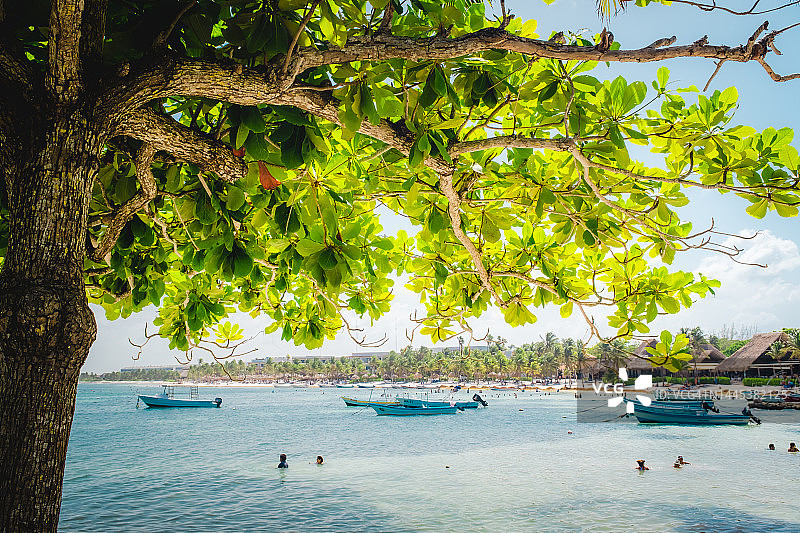 墨西哥玛雅海岸：阿库玛尔湾的木船。墨西哥湾加勒比海岸的阿库玛尔天堂海滩，有白色沙滩、棕榈树和蔚蓝的清水图片素材