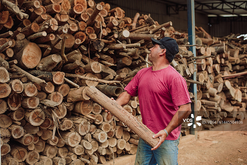 男子堆放木柴图片素材