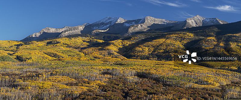 西贝克威斯山下的白杨林图片素材