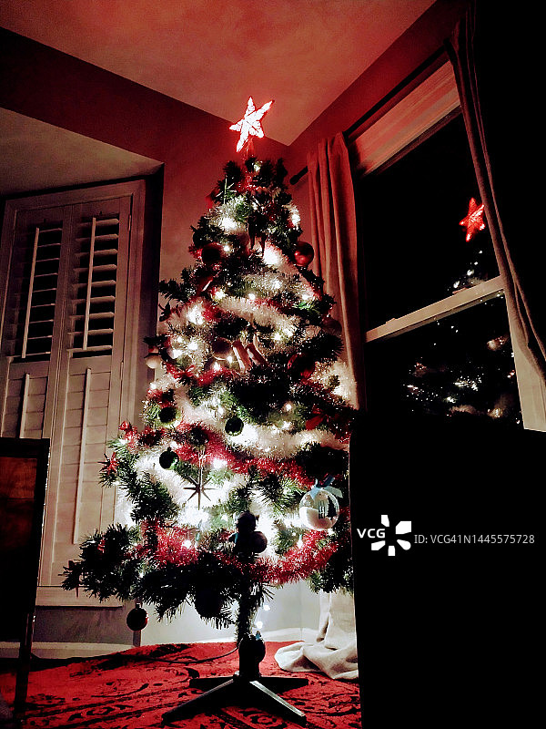 圣诞树图片素材