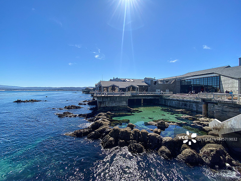 蒙特雷湾水族馆，加利福尼亚州蒙特雷图片素材