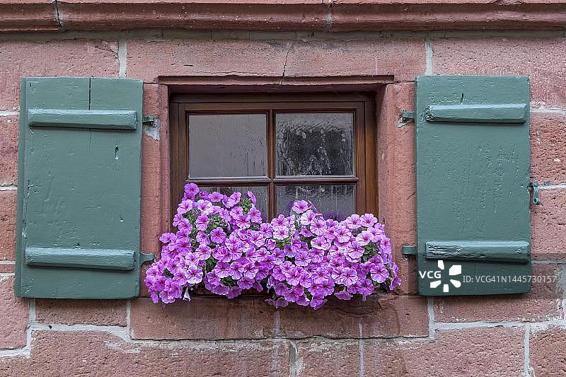 带有绿色百叶窗和鲜花装饰的小窗户，矮牵牛花，普法尔茨，莱茵兰-普法尔茨，德国图片素材