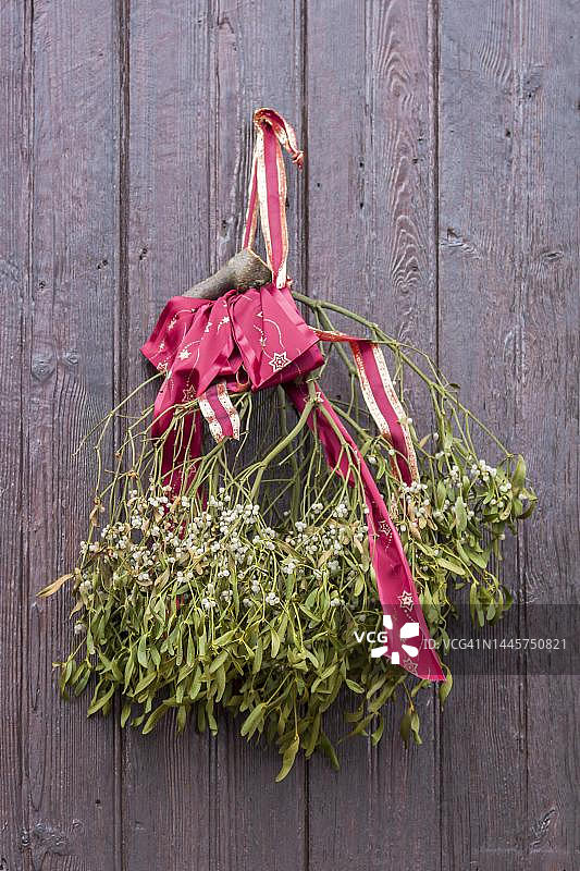 德国莱茵兰-普法尔茨老木门上的欧洲槲寄生图片素材