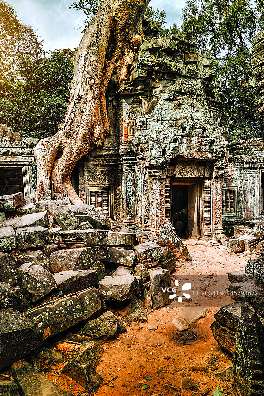 柬埔寨吴哥窟塔布笼寺遗址图片素材