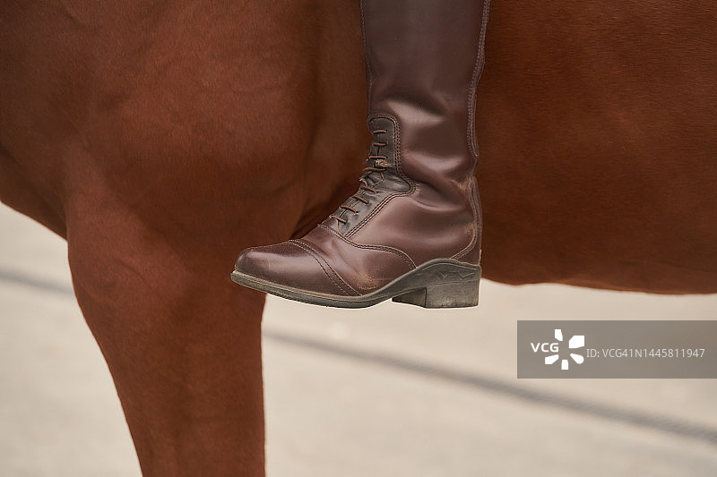 马腿，无马镫图片素材