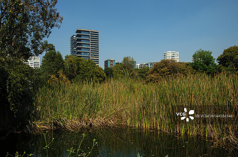 查普尔特佩克公园，墨西哥城，墨西哥图片素材