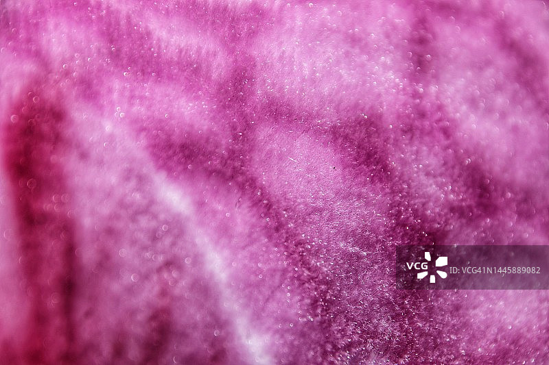 毯子的全画幅照片图片素材