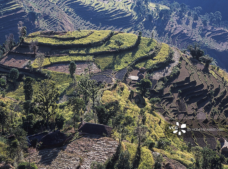 1990年尼泊尔卡基内塔附近的梯田图片素材