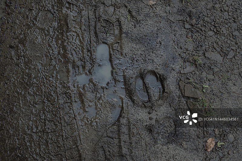 泥泞道路上的脚印和痕迹图片素材