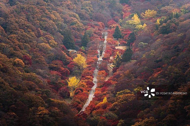 韩国内藏山国家公园美丽的秋景图片素材