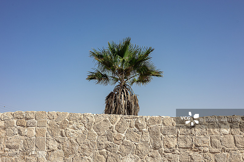 古老的石墙与蔚蓝天空下的棕榈树图片素材