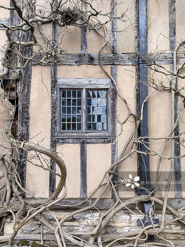 英格兰斯特拉特福-雅芳霍尔克罗夫特，透过窗户观察树枝生长图片素材