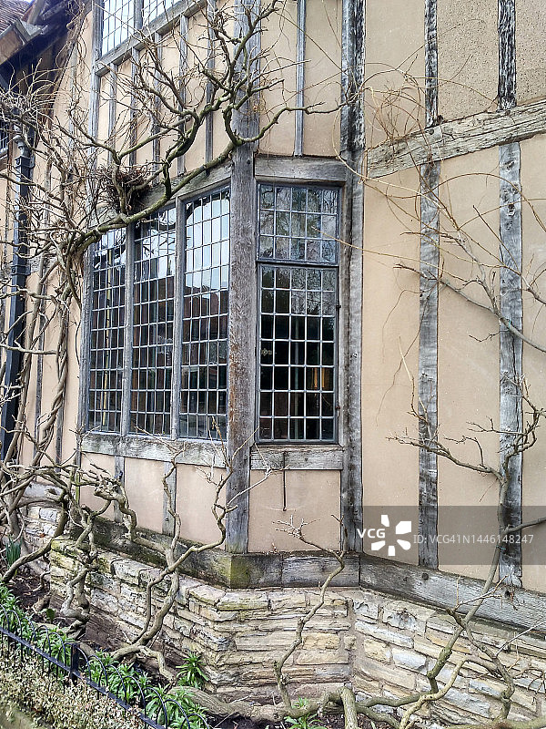 英格兰斯特拉特福-雅芳霍尔克罗夫特，透过窗户观察树枝生长图片素材