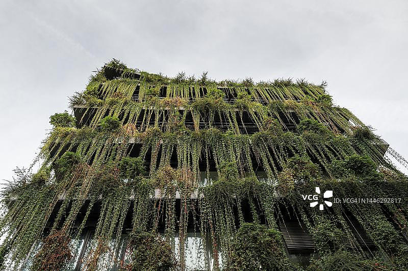 德国巴登-符腾堡州斯图加特卡尔沃通道的绿色建筑图片素材