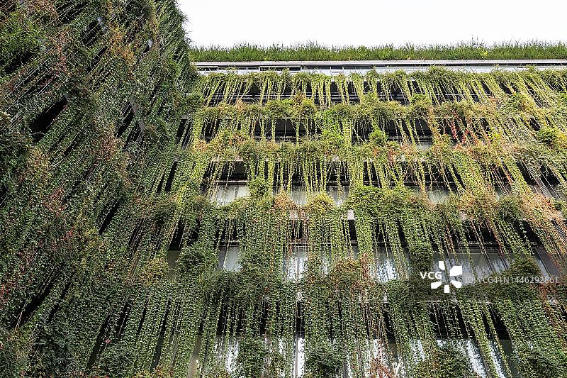 德国巴登-符腾堡州斯图加特卡尔沃通道的绿色建筑图片素材