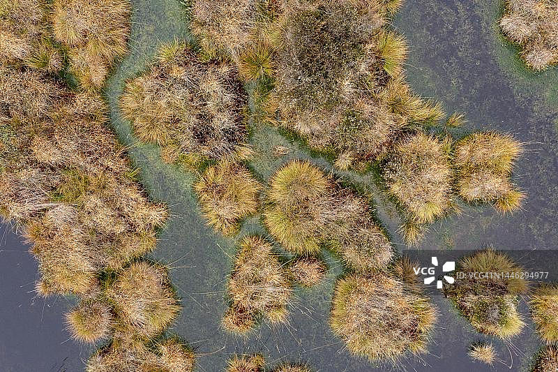 德国巴伐利亚基姆高格拉绍肯德尔米尔菲尔岑高沼地的秋色图片素材