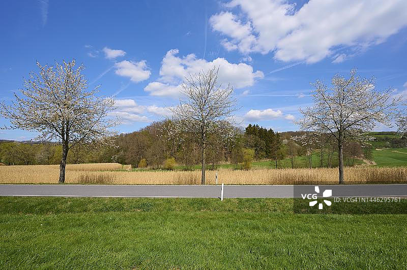 德国黑森州山路风光图片素材