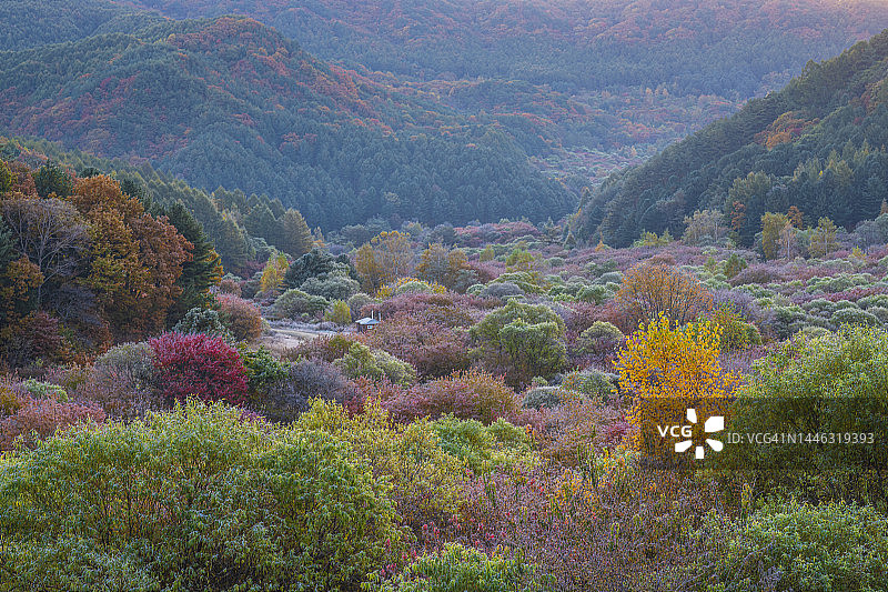 江原道麟蹄郡的秘密花园秋景图片素材