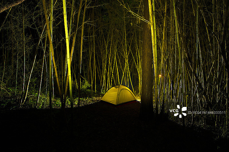 全罗北道井邑市竹林帐篷露营图片素材