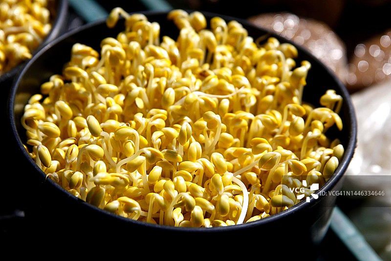 豆芽，西鲁图片素材