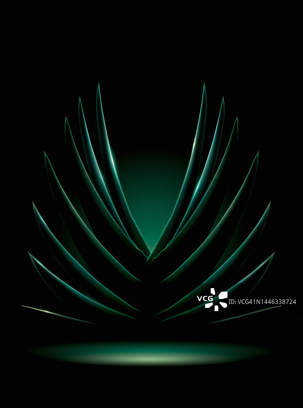 翅膀形状的芦荟，静物背景图，无人图片素材