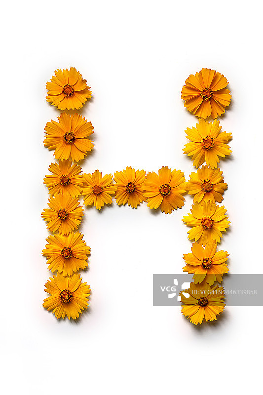 金色金鸡菊静物摄影图片素材