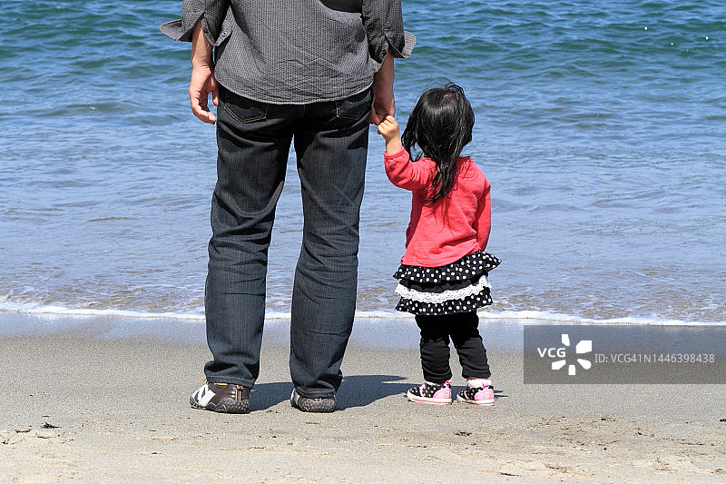 家人在海滩，父子手牵手眺望大海（背影）图片素材