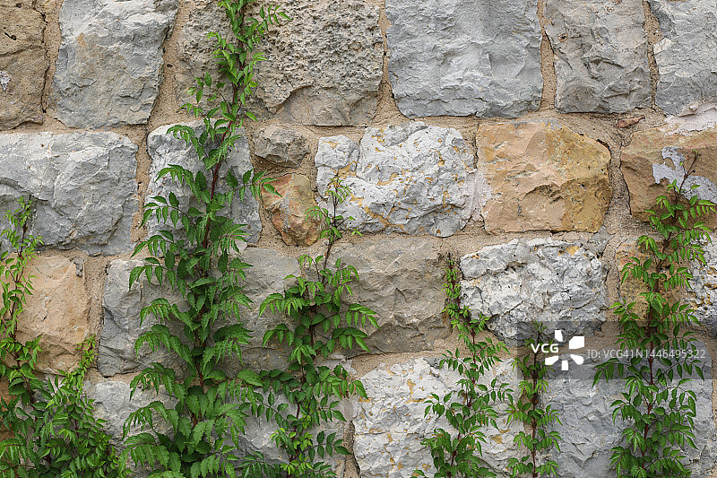 黎巴嫩的自然石墙图片素材