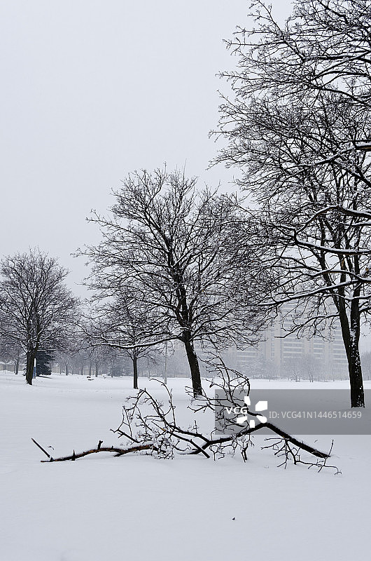 多伦多冬季雪景图片素材