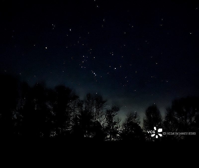 光秃秃的树枝上的星夜图片素材