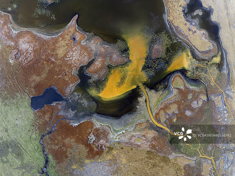 自然的形状和纹理图片素材