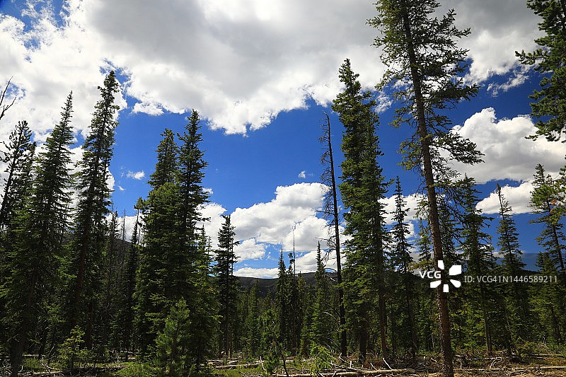 夏季山景图片素材