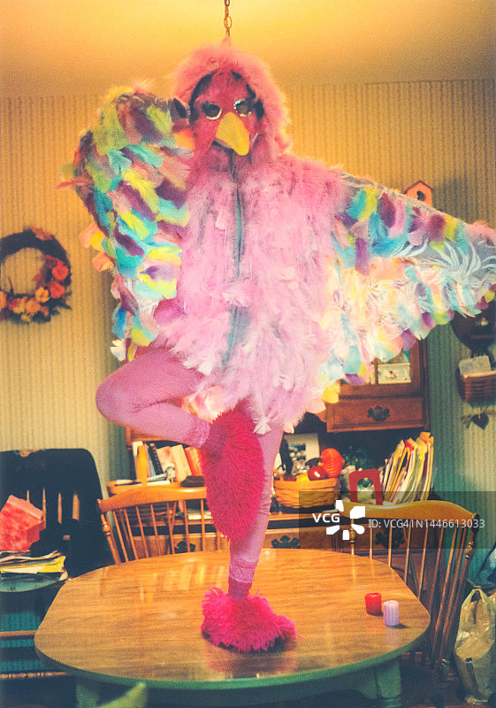 复古万圣节服装，儿童趣味写真，90年代儿童鸟类服装图片素材