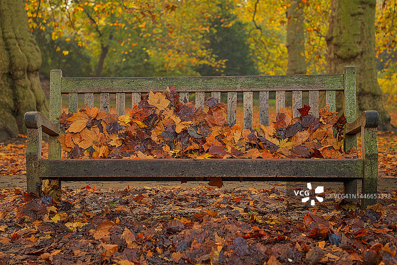 英国伦敦圣詹姆斯公园的秋色图片素材