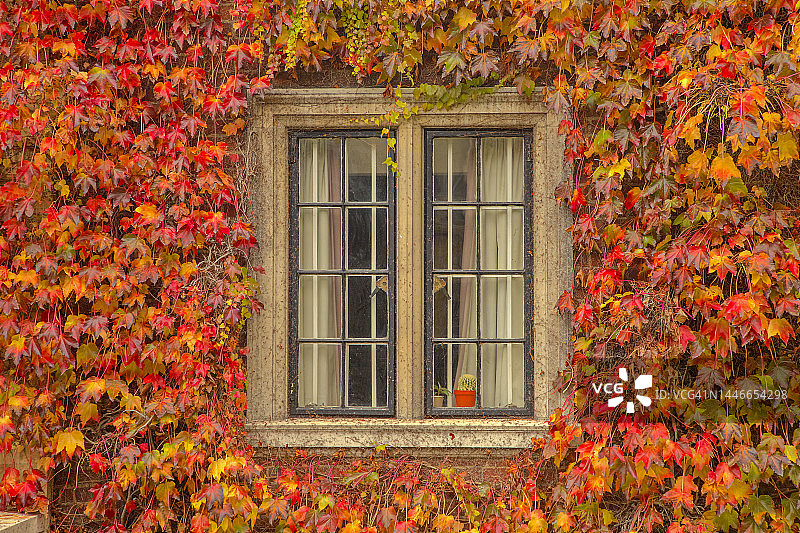 英国剑桥郡剑桥的秋色图片素材