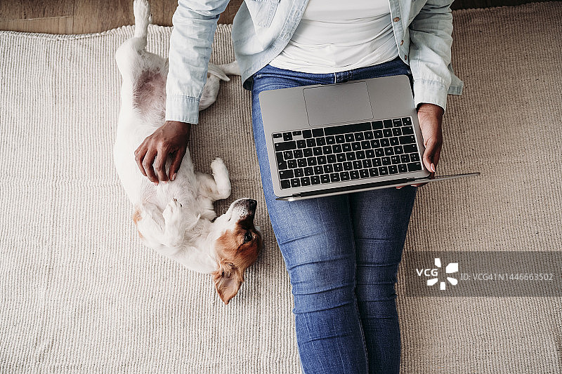 在家中地毯上与宠物狗一起使用笔记本电脑的女商人图片素材