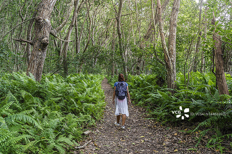 在桑给巴尔乔扎尼森林小路上步行的快乐女人图片素材