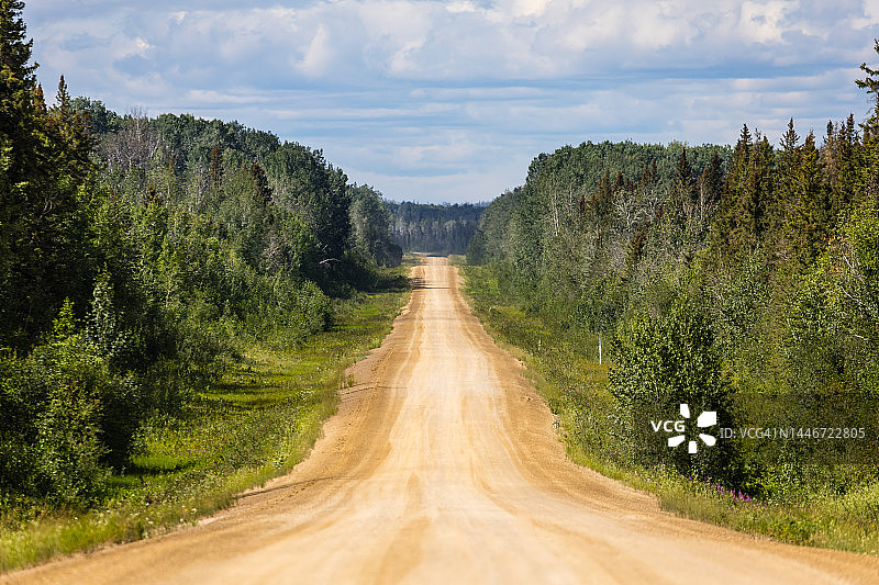 加拿大伍德布法罗国家公园的土路图片素材