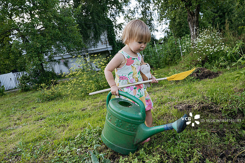 小女孩在她的花园里浇花图片素材
