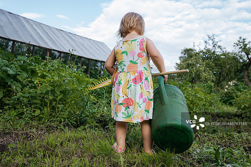 穿着水果图案夏装，拿着绿色大喷壶和黄色耙子，赤脚站在菜园里看着草地的小女孩，背景是温室图片素材