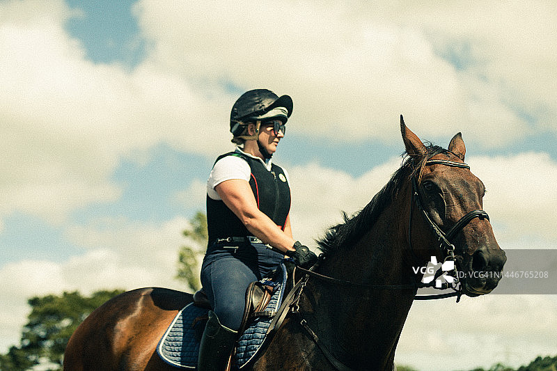 马术骑行图片素材