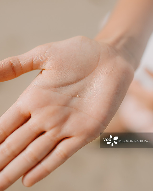 中国冲绳县西表岛的星形沙图片素材