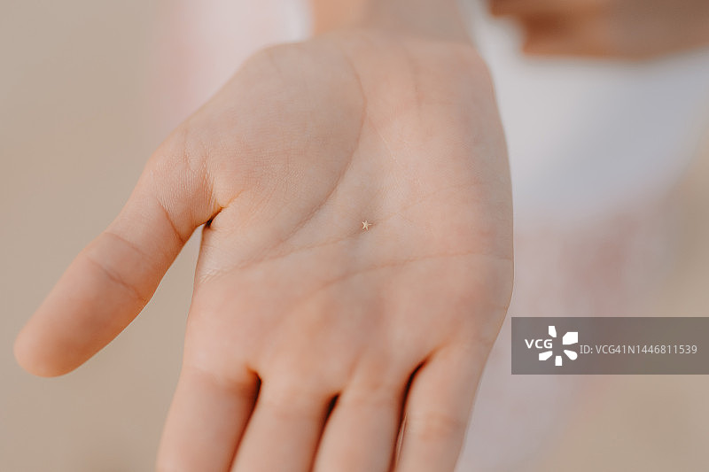 中国冲绳县西表岛的星形沙图片素材