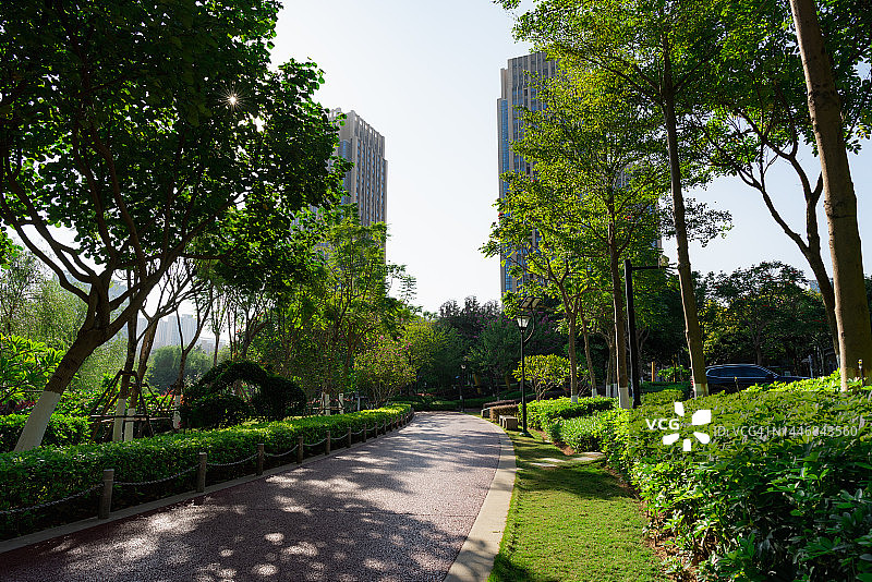 公园里的光效步道图片素材