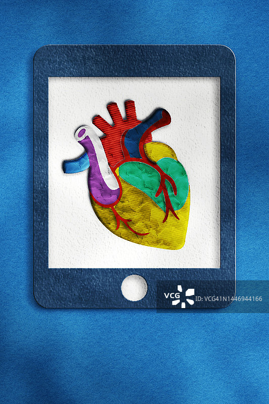 平板电脑中的解剖心脏图片素材