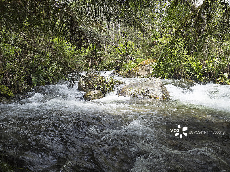 山涧小溪，阿尔卑斯国家公园，塔旺加图片素材