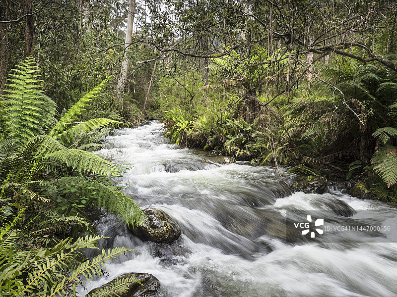 山涧小溪，阿尔卑斯国家公园，塔旺加图片素材