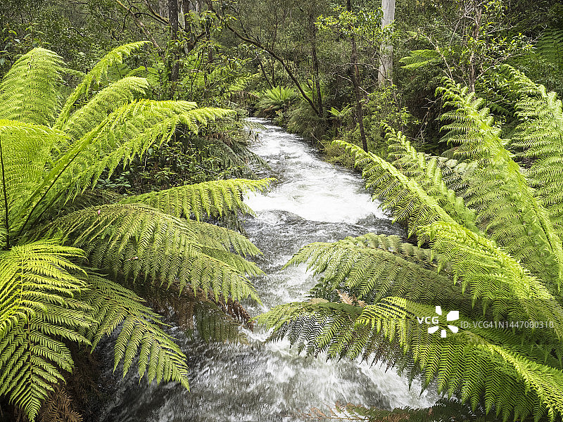 山涧小溪，阿尔卑斯国家公园，塔旺加图片素材