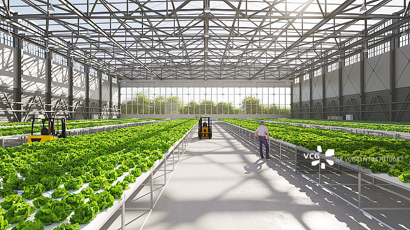 水培农场图片素材